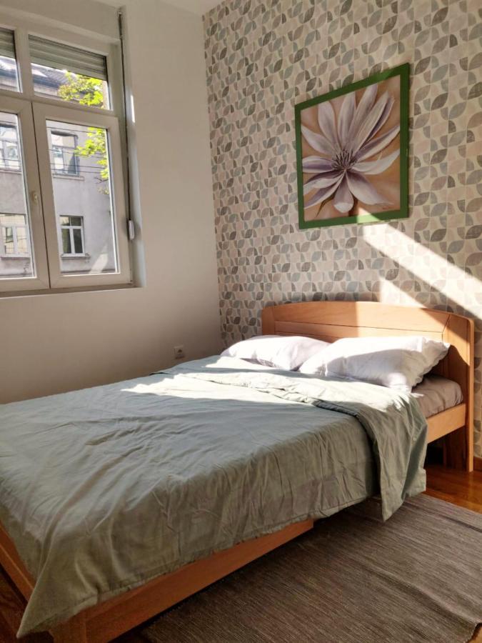 Lux Center Of Belgrade 2 Bedrooms, Sleeps 6 - Free Parking מראה חיצוני תמונה